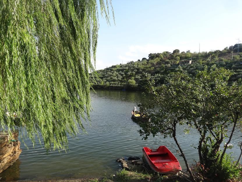 Casa Da Caroline Villa Freixo de Espada à Cinta Exteriör bild